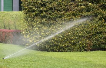 Sprinklers and Water